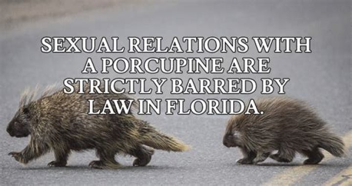18 Weird Sex Laws From Around The World