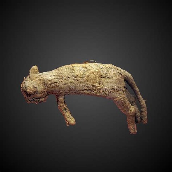 Mummified Animals